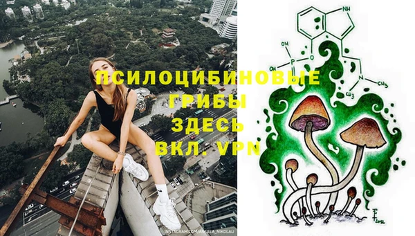 тгк Кулебаки