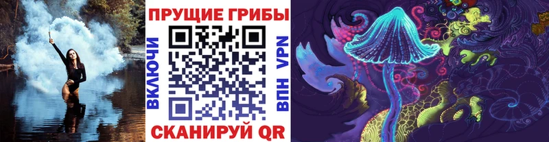 Купить закладки  Дыгулыбгей  Псилоцибиновые грибы Cubensis 
