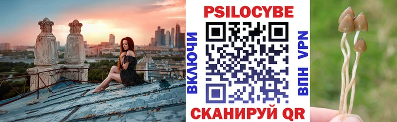Псилоцибиновые грибы прущие грибы Дыгулыбгей